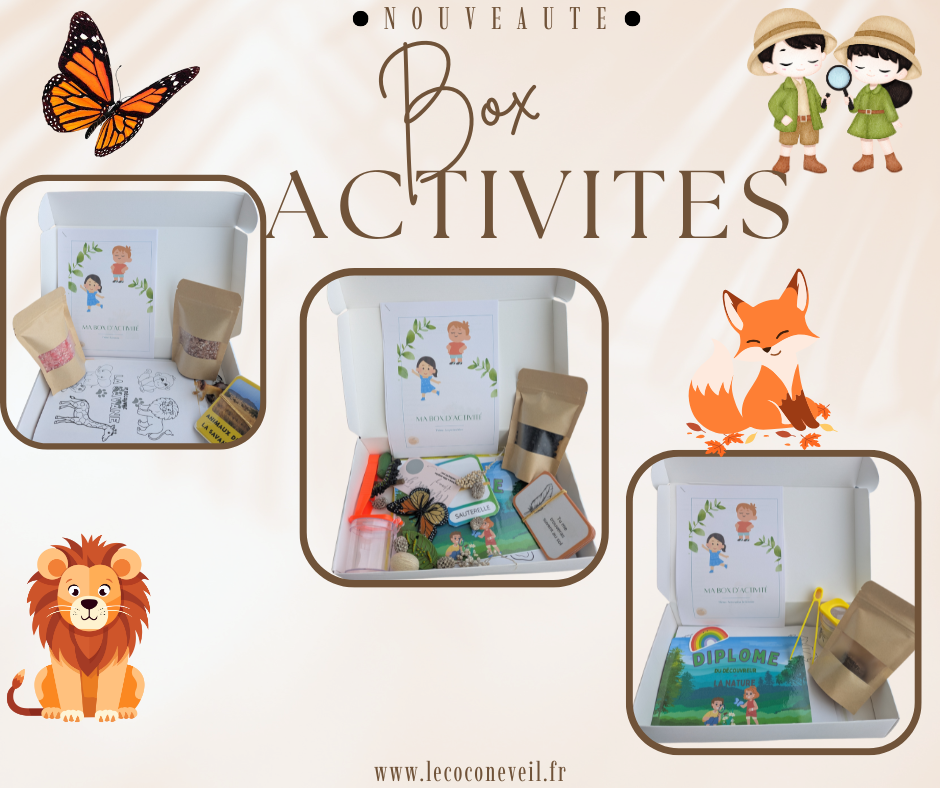 Box activité 2-6 ans - Montessori, Sensoriel & Découvertes